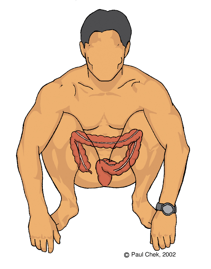 Squat-Colon.jpg