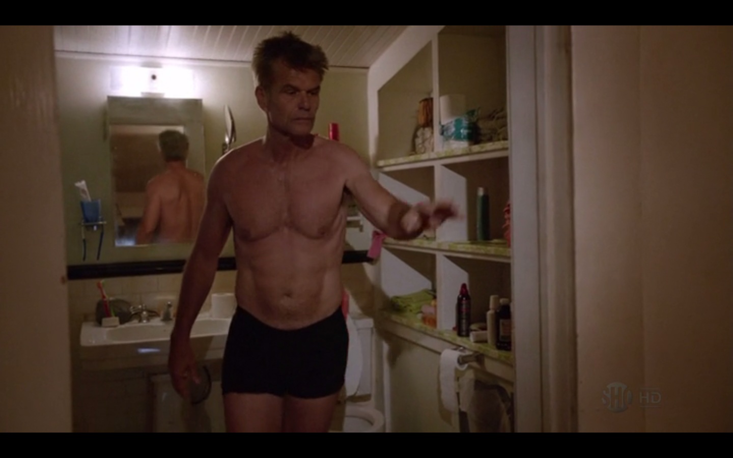 Harry+Hamlin+02.jpg