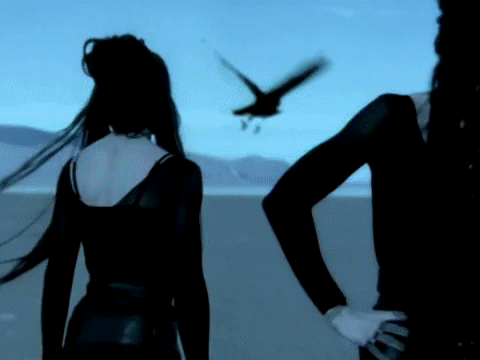 tumblr_nnzt4iQR3X1rcz6r6o4_r1_500.gif