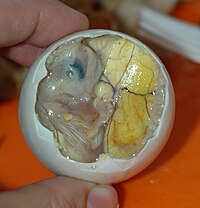 200px-Inside_a_Balut_-_Embryo_and_Yolk.jpg
