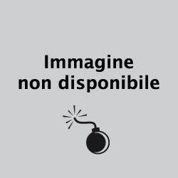 achille_bonito_oliva.jpg
